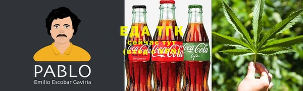 крисы Алзамай