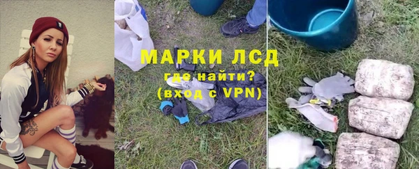 крисы Алзамай