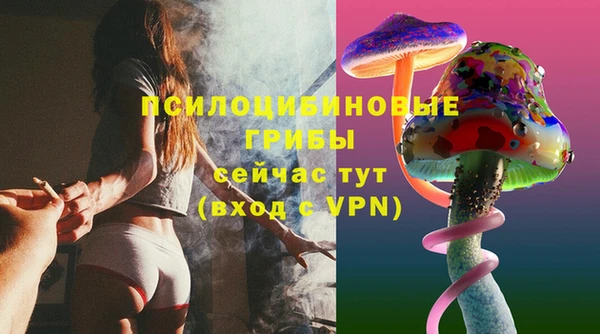 крисы Алзамай