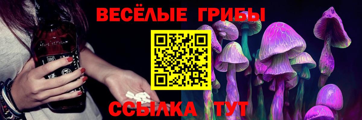 Михайловск  Галлюциногенные грибы Psilocybine cubensis  Вход с VPN 
