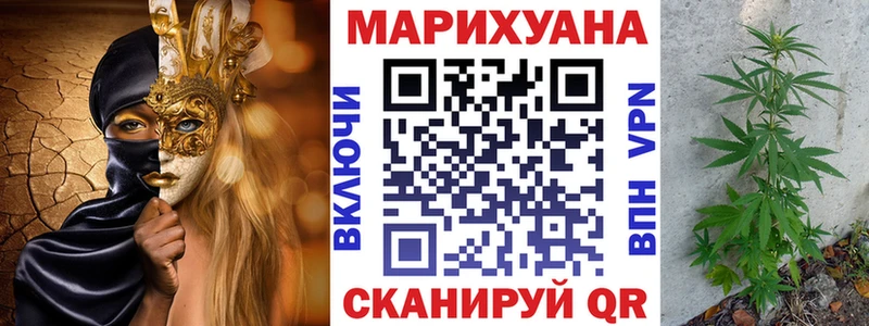 Конопля сатива  Михайловск 
